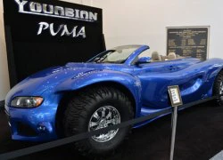 Youabian Puma - quái thú triệu đô