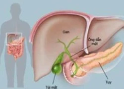 8 hành động "phá hủy" chức năng gan nặng nề nhất