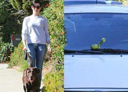 Anne Hathaway vứt phân động vật lên xe paparazzi