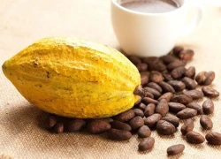 Bí kíp uống cacao vào mùa đông &#8220;đúng chuẩn&#8221;