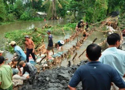 Bờ bao được vá, người dân trở lại cuộc sống bình thường