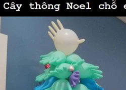 Cây thông Noel độc nhất vô nhị