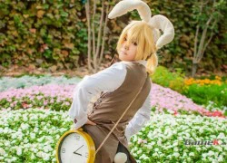 Chùm ảnh cosplay tuyệt dễ thương