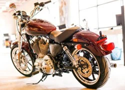 Chùm ảnh mẫu Harley-Davidson rẻ nhất tại Việt Nam