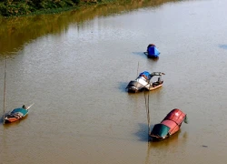 Đẹp ngỡ ngàng cây cầu &#8220;sống&#8221; qua 3 thế kỷ ở Hà Thành