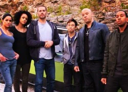 Fan bất ngờ ủng hộ việc ngừng sản xuất "Fast & Furious 7" vô thời hạn