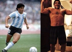 Giải "Thể hình đẹp của năm 2013" gọi tên... Maradona