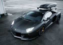 Lamborghini Aventador dành cho kỳ trượt tuyết