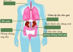 Nam giới không nên ăn nhiều cần tây