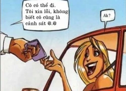 Tóc vàng hoe gặp nhau