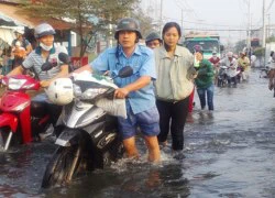 Ngụp lặn chống chọi triều cường lịch sử