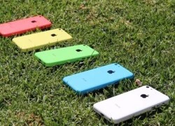 Nhà mạng tặng miễn phí iPhone 5c cho người dùng