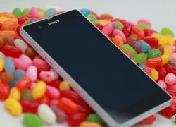 Sony tung bản cập nhật Android 4.3 cho dòng Xperia Z