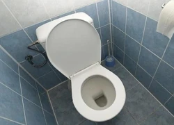 Suýt tan vỡ hôn nhân vì cái toilet