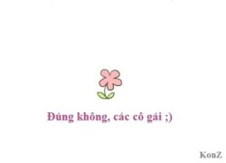 Tâm sự của các cô gái