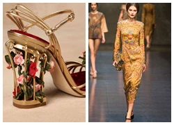 Thu Hằng tỏa sáng với cây hàng hiệu Dolce&Gabbana