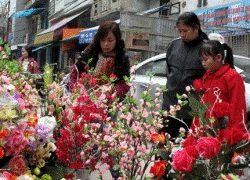 Thủ tướng phê duyệt ngày nghỉ lễ, Tết năm 2014