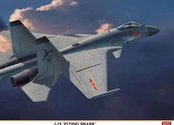 Trung Quốc sản xuất hàng loạt bản sao máy bay Su-33 của Nga