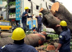 Truy đóng hơn 5 tỷ đồng bảo hiểm vụ giám đốc lương tiền tỷ