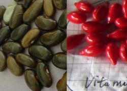 Viên thuốc vitamin và chuyện khủng long heroin chui qua lỗ kim