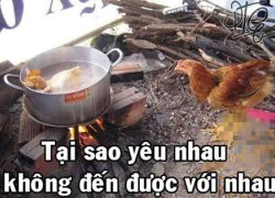 Vỡ bụng với chùm ảnh độc, lời bình khó đỡ