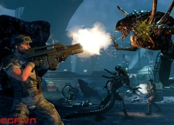 Aliens: Colonial Marines bất ngờ trở lại bảng xếp hạng