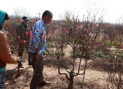 Bắc, Trung nắng ấm đến mùng 2 Tết, miền Nam thời tiết lý tưởng