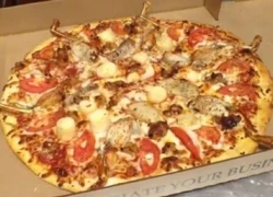 Bánh pizza thịt trăn, cá sấu