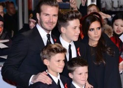 Beckham bất ngờ đi thăm nhà máy rượu whisky