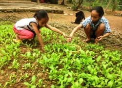 Cảm động 3 chị em nuôi nhau trong cảnh &#8220;có cơm ăn cơm, có cháo ăn cháo&#8221;