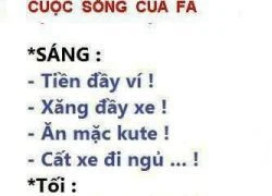 Cuộc sống của FA