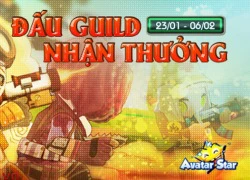 Đâu là bộ tứ hoàn hảo cho guild chiến trong Avatar Star?