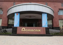 Hàng loạt vi phạm tại Agribank sắp bị Thanh tra Chính phủ công khai