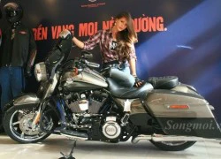 Harley-Davidson 2014 bản độ chính hãng giá từ 1,3 tỷ đồng