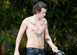 Harry Styles khoe cơ thể đầy hình xăm