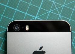 iPhone 6 có thể vẫn dùng camera 8 megapixel