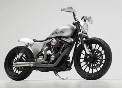 Kraus Nicks Dyna &#8211; biến hình từ Harley-Davidson