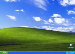 Microsoft chưa nỡ tạm biệt Windows XP