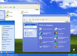 Microsoft vá lỗi Windows XP