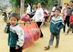 Ngày đông ấm ở Trung Sơn