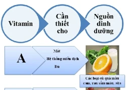 Những vitamin không thể thiếu cho cơ thể