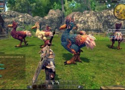 RaiderZ - Game hành động tuyệt đẹp chuẩn bị hồi sinh