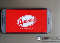 Rò rỉ bản test firmware Android KitKat 4.4.2 cho Galaxy S4