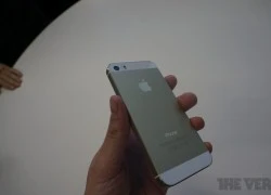 Săm soi &#8220;bom tấn&#8221; vừa ra mắt: iPhone 5S