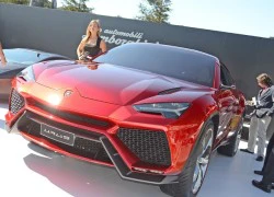 Siêu SUV Lamborghini Urus được sản xuất từ năm 2017