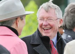 Sir Alex chán, bỏ mặc M.U