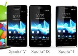 Sony Xperia T và Sony Xperia V cập nhật phiên bản Android 4.3