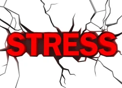 Stress làm bạn xấu hơn bạn tưởng