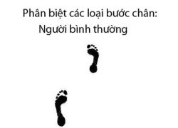 Truyện tranh troll vui phần 148