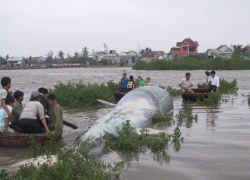 Về nơi thờ "thần hộ mệnh" ngư dân bám biển